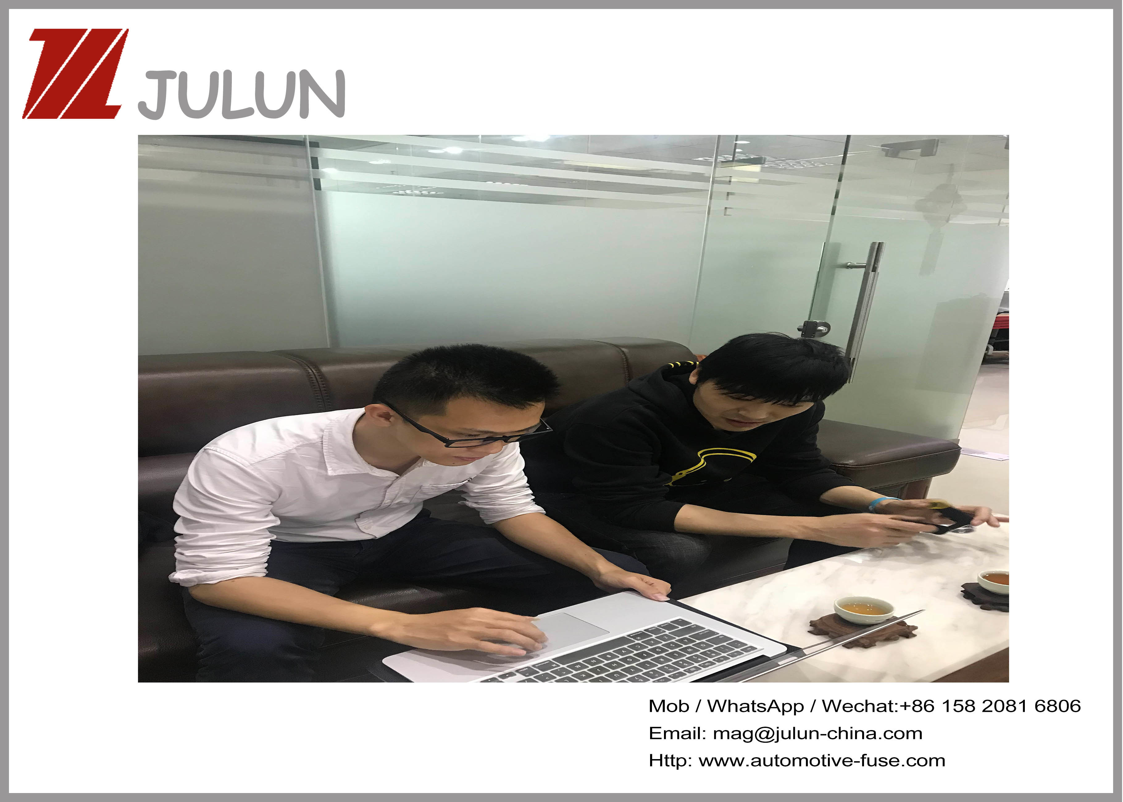 Chiny dongguan Julun  electronics co.,ltd profil firmy