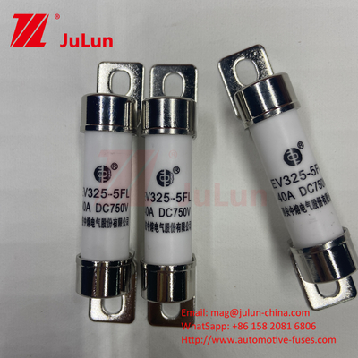 750VDC Przechowywanie energii 10A 25A 30A 50A EV FUS Automotive Ceramic Copper Electric Vehicle Fuse Do przechowywania energii DC750V
