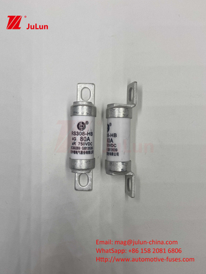 EV RS308 bezpiecznik mechaniczny 25A 30A 40A 50A Ceramic Copper Nominated Voltage DC750V Home Ev Charger dla samochodów elektrycznych