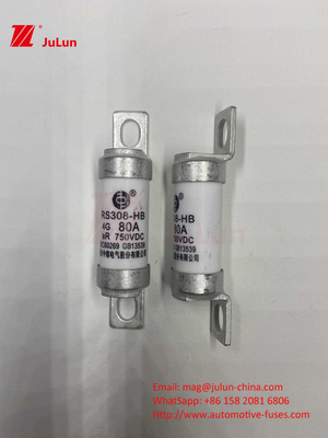 M6 bezpiecznik elektryczny z zaciszonym ceramicznym ładowarką elektrycznym 750VDC bezpiecznik obciążenie chemiczne i wysoka temperatura 40A 50A RS308