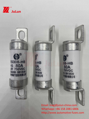 M6 Bolted EV Fuse 750V 80A10A 30A 50A 750VDC EV Fuse Hey są odpowiednie dla systemu trakcji EV, konwersji mocy