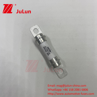 5A 10A 30A 50A 30A 500DV System siłowy pojazdu elektrycznego Hybrid Vehicle Fuse