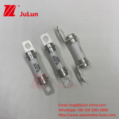 5A 10A 30A 50A 30A 500DV System siłowy pojazdu elektrycznego Hybrid Vehicle Fuse