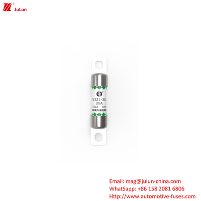DC800V DC850V Affordable Automotive Battery Charger Fuse With Protection EV OEM Logo