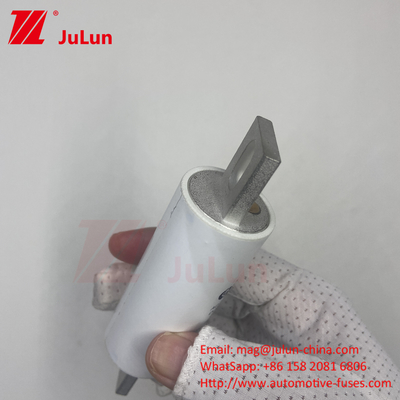 RS309-MM-EV500A1000VDC 50KA 1000VAC 100KA Ochrona śruby śruby bezpiecznika