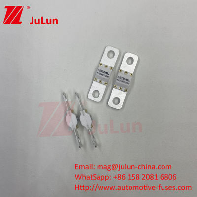 Elektryczne pojazdy bezpieczniki samochodowe ASTM FUSE 300A 125VDC Bolt On