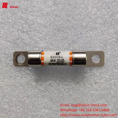 Adapter do ładowania pojazdów elektrycznych bezpiecznik zgodny z ładowaniem 10A-60A Szybkie ładowanie pojazdów elektrycznych