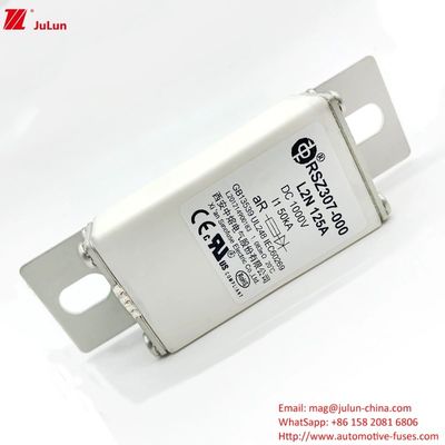 100A Bolt On Ev Dc Szybkie ładowarki / Szybkie ładowanie pojazdów elektrycznych RSZ307-000-L2N bezpiecznik