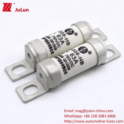 Adapter do ładowania EV RS308-HB4G Seria 32A 63A 100A Mini bezpieczniki do samochodów