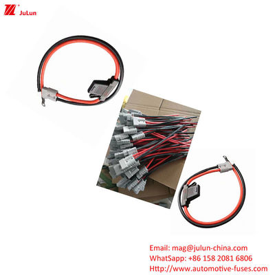 Eu UL Standard Nowoenergetyczne Pojazdy Plastikowe / Nylon Shell Fuse Holder Nominalne napięcie 32V