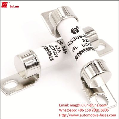 RS309 750VDC 32A 40A Prąd Ładowarka akumulatora samochodowego z bezpiecznikiem pojazdu elektrycznego 750VDC