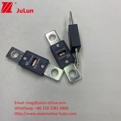 Zapewnienie bezpieczeństwa w przypadku pojazdów samochodowych EV320-3X-150A 70VDC Bolt M8 Tryb instalacji
