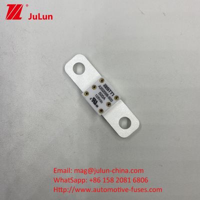 ASTM A202008 250A 125VDC Płaska tablica typu auto blade bezpieczniki dla śruby