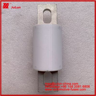 RS309-MD 400A 500VAC 200KA 500VDC 50KA AR Tubularne ceramiczne bezpieczniki samochodowe Bolt Installacja ochrona półprzewodników