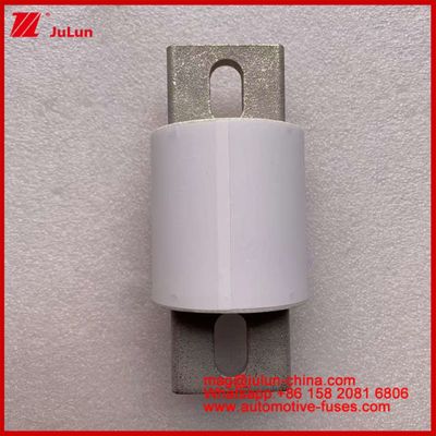 Silnik napędowy Systemy zasilania Ceramiczne bezpieczniki samochodowe RS309-MD 600A 500VAC 200KA 500VDC 50KA AR Rurowe pojazdy elektryczne 30-800A