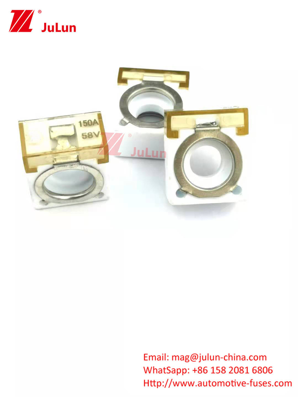 Akumulator 2-terminal Fuse Holder Single Stud M8 Kompaktowy ratingowy akumulator Fuse 60A-300A