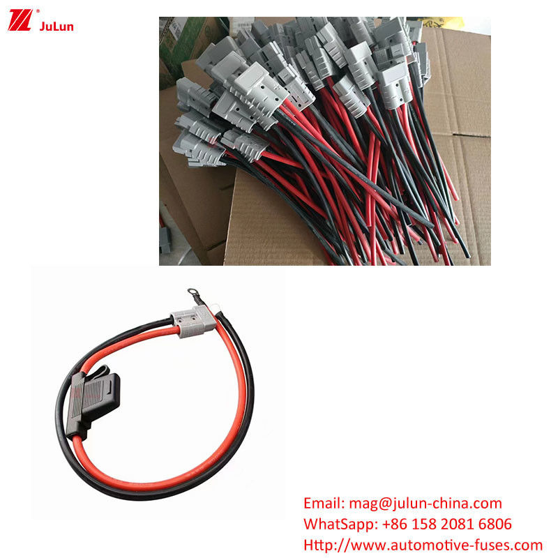 Eu UL Standard Nowoenergetyczne Pojazdy Plastikowe / Nylon Shell Fuse Holder Nominalne napięcie 32V