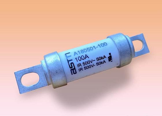 Szybko działający bezpiecznik samochodowy 100 A 500 V AC Napięcie Biały kolor dla elektroniki