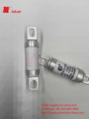 750VDC Ceramic Automotive Fuses 14. Ceramic Tube 20x46mm 15A 40A 50A RS308 HB G FUSE 750VDC EV325 100A